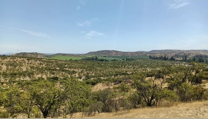 🌄 Parcelas en Venta a 5 minutos del Lago Rapel – Crédito Directo y Entrega Inmediata
